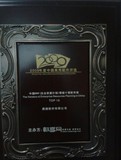 2009年度中国ERP领域十强软件商